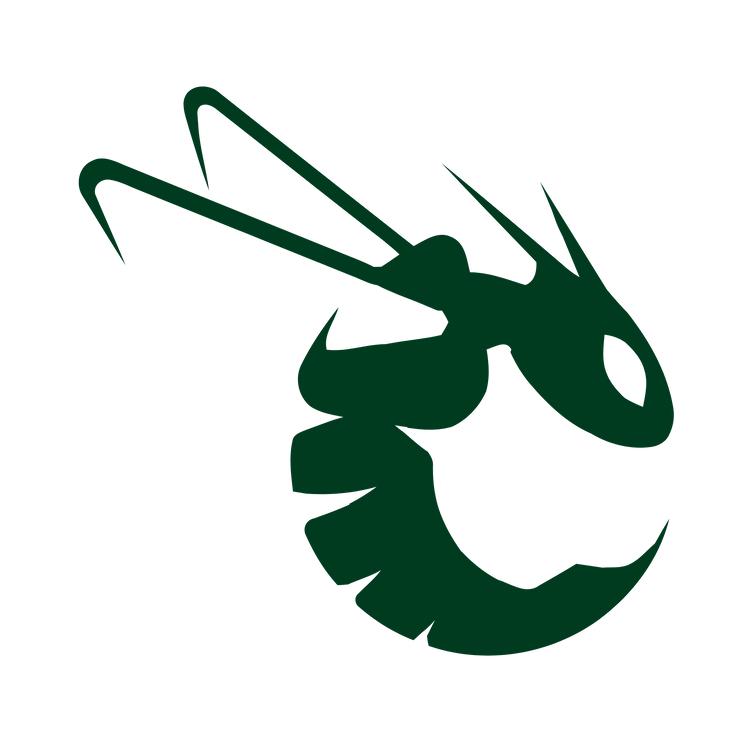 Central Montcalm Hornets