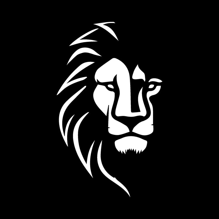 Newaygo Lions