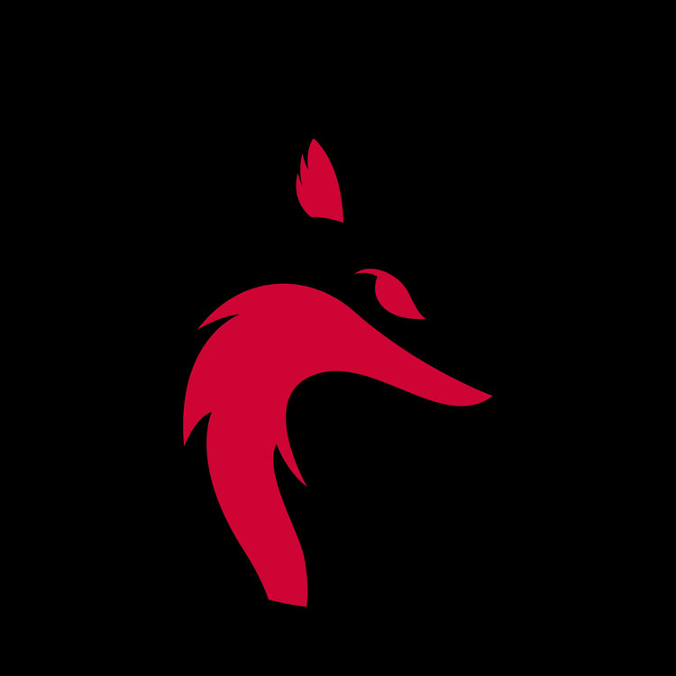 Reed City Coyotes